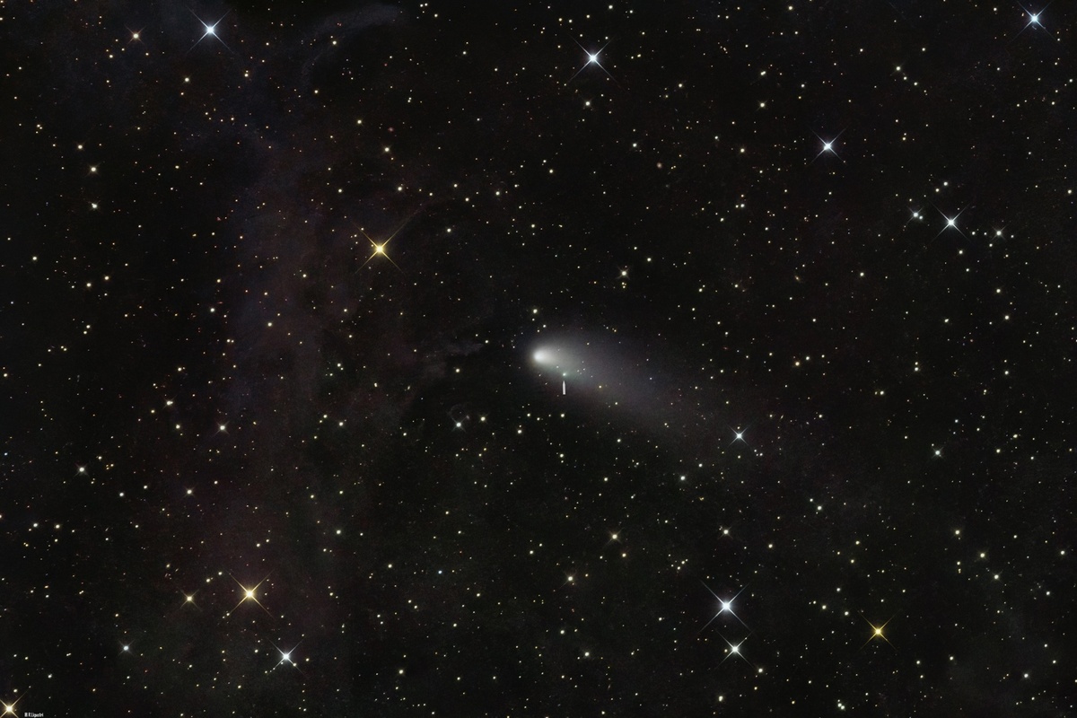Комета 240P 11 ноября 2025 года, фото Роландо Лигустри
