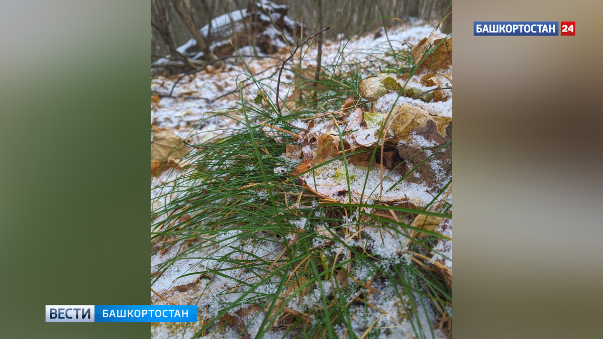    Декабрь в Башкирии начнется с плюсовых температур