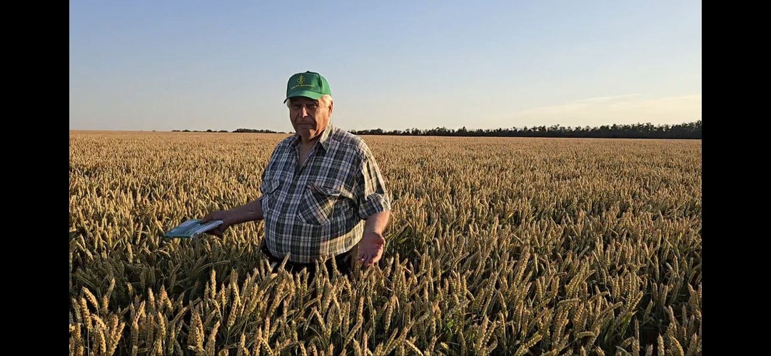 Новости от селекционера