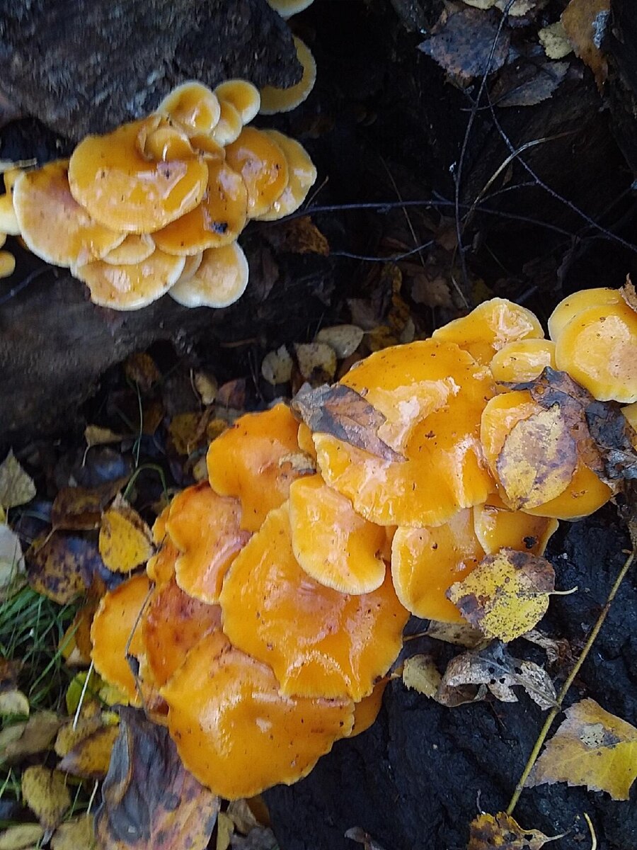 Фото "КУ", автора текста.