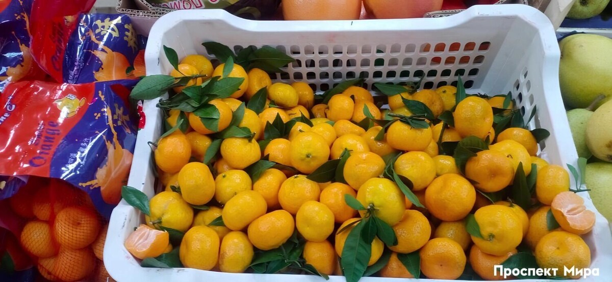    беби   prmira.ru