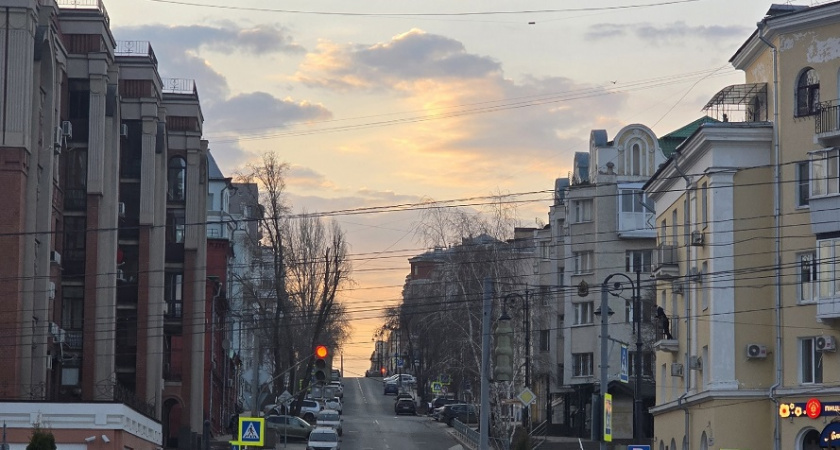    Фото Анастасии Дмитриевой