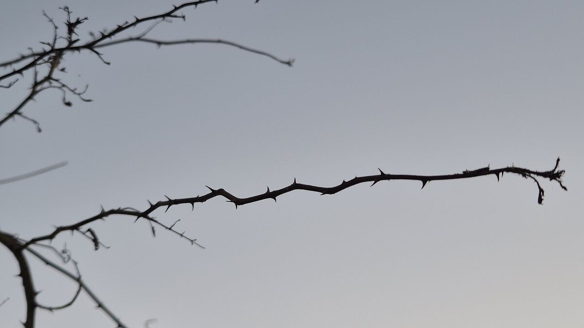    Фото: телеканал «Краснодар»