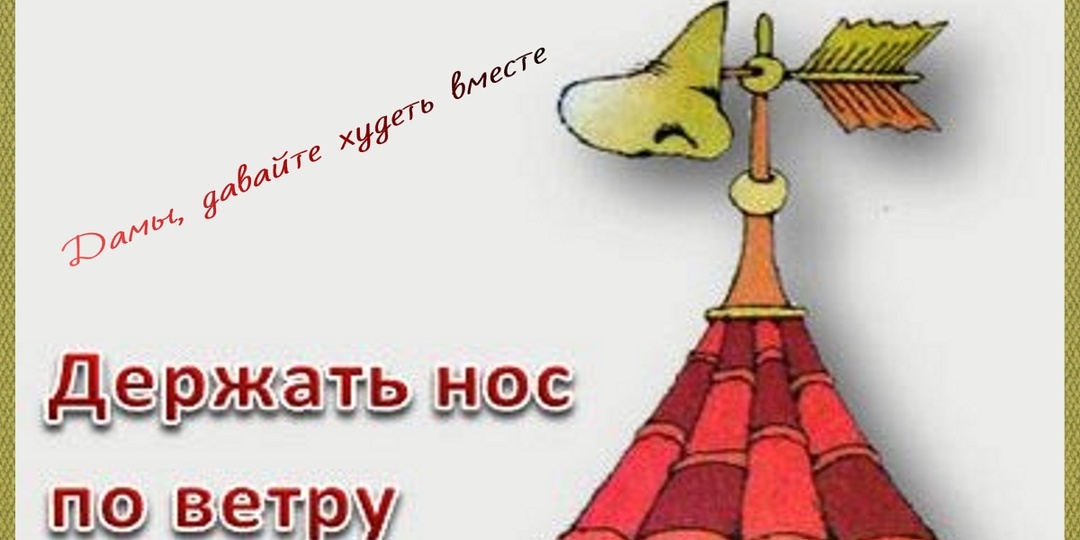"Держим нос по ветру" и раскладка по КБЖУ творожной запеканки, сырников и диетического плова на пути к стройности