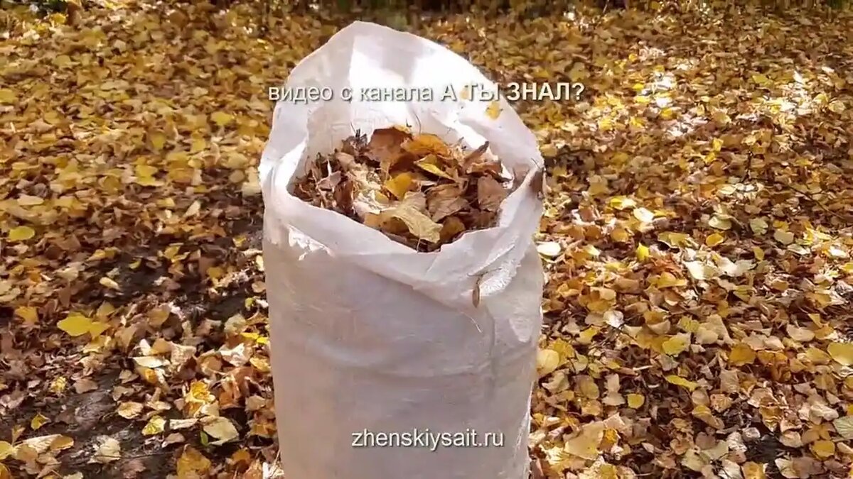 Используйте опавшую листву с пользой для огорода и улучшения почвы