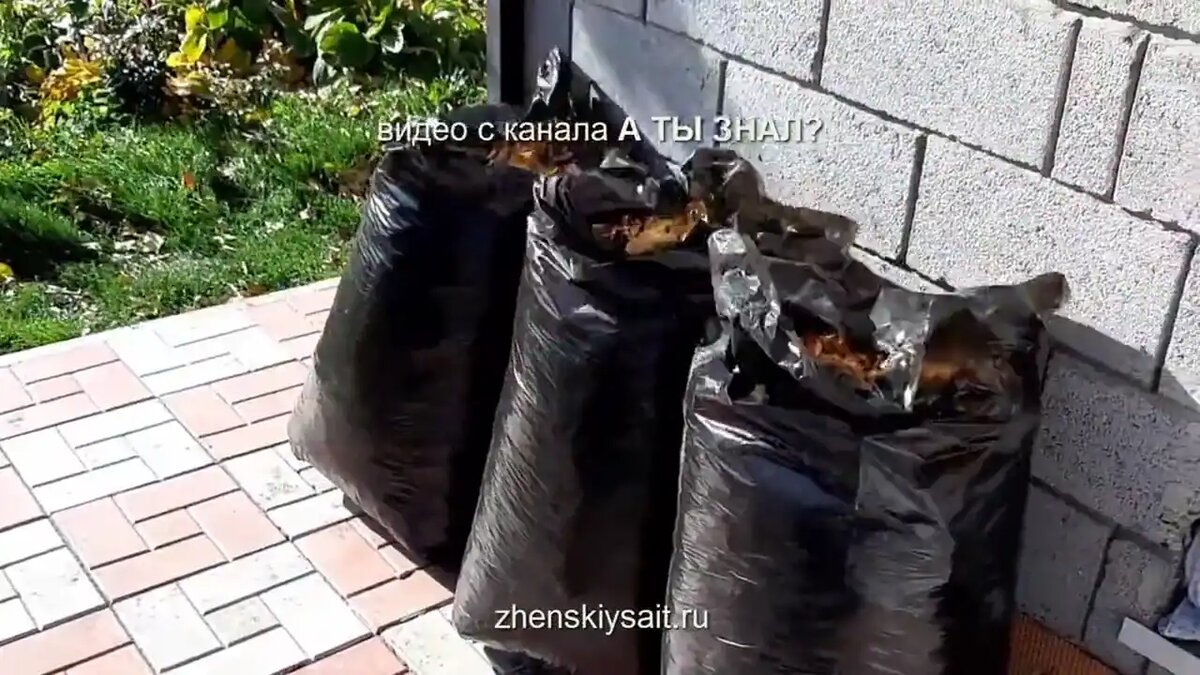 Компост из листьев в мешках: как приготовить удобрение осенью