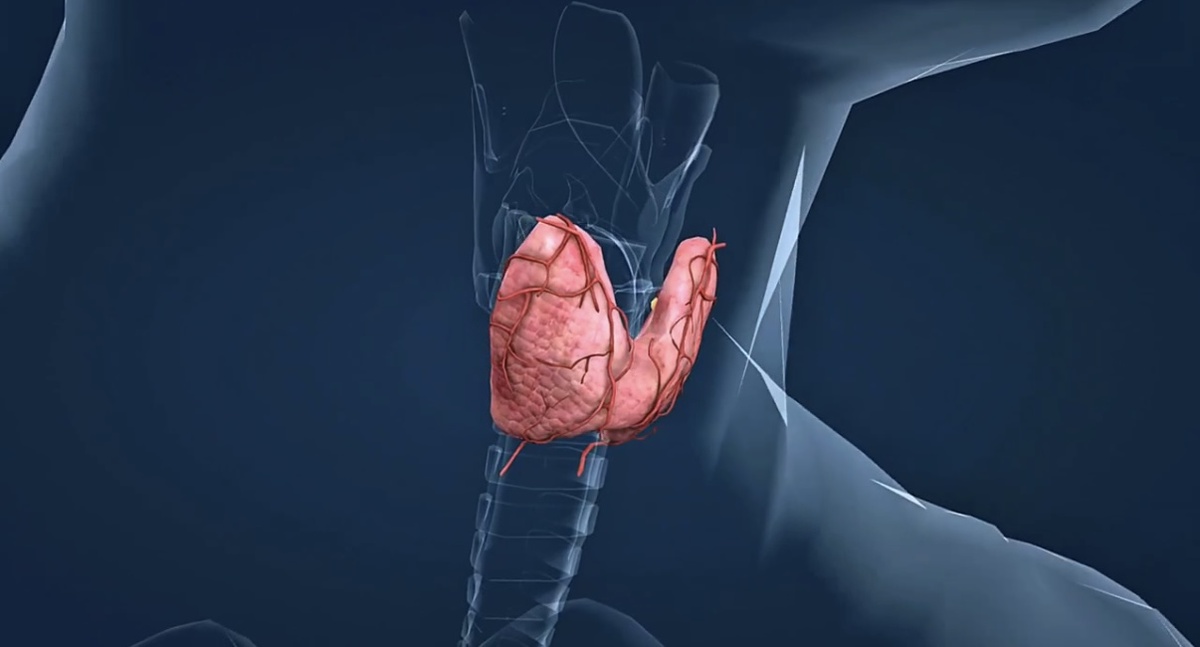 Вы когда-нибудь чувствовали себя «севшей батарейкой»?