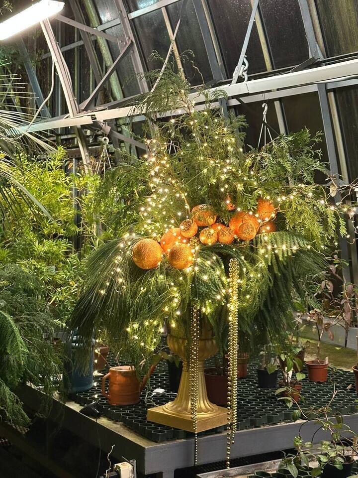     Фото: пресс-служба Ботанического сада.