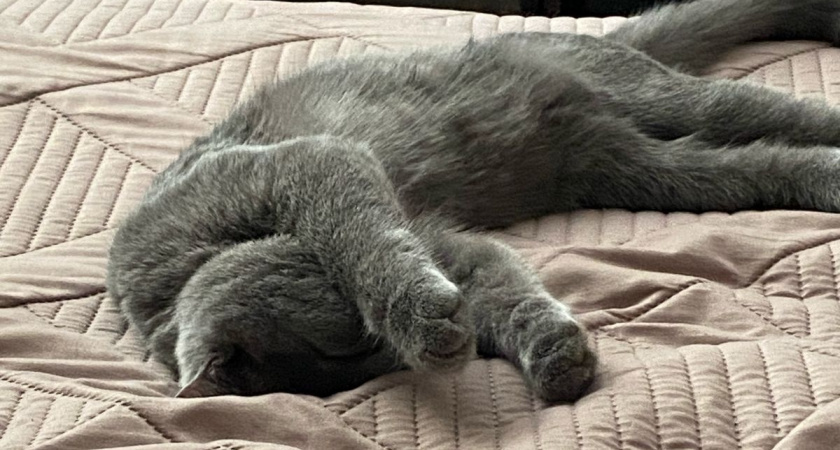    Фото irkutsk.news