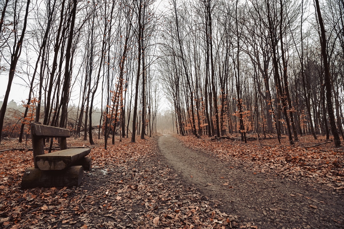    В этот день наблюдения за погодой помогают составить прогноз на зиму