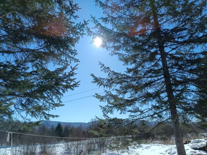    Фото:Виктория Андреева