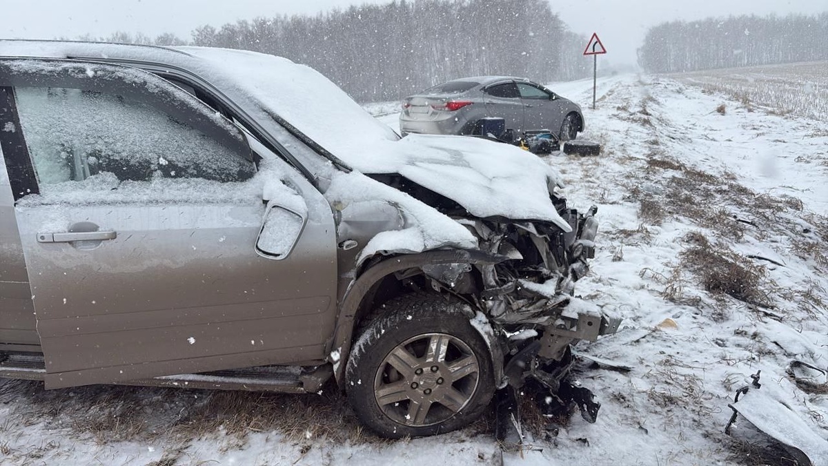 Фото: Госавтоинспекция по Омской области.