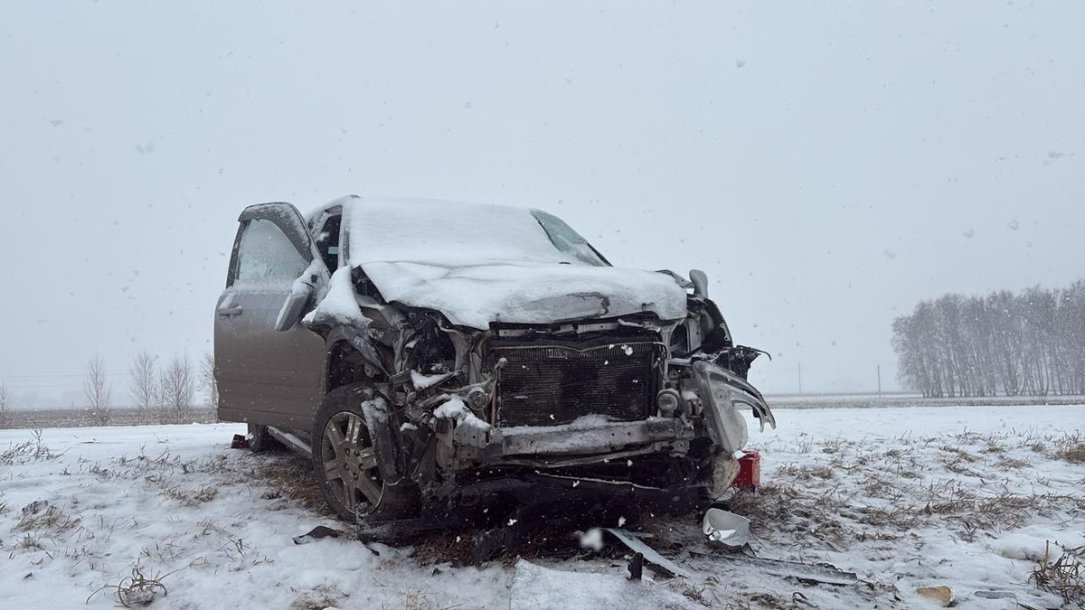 Фото: Госавтоинспекция по Омской области.