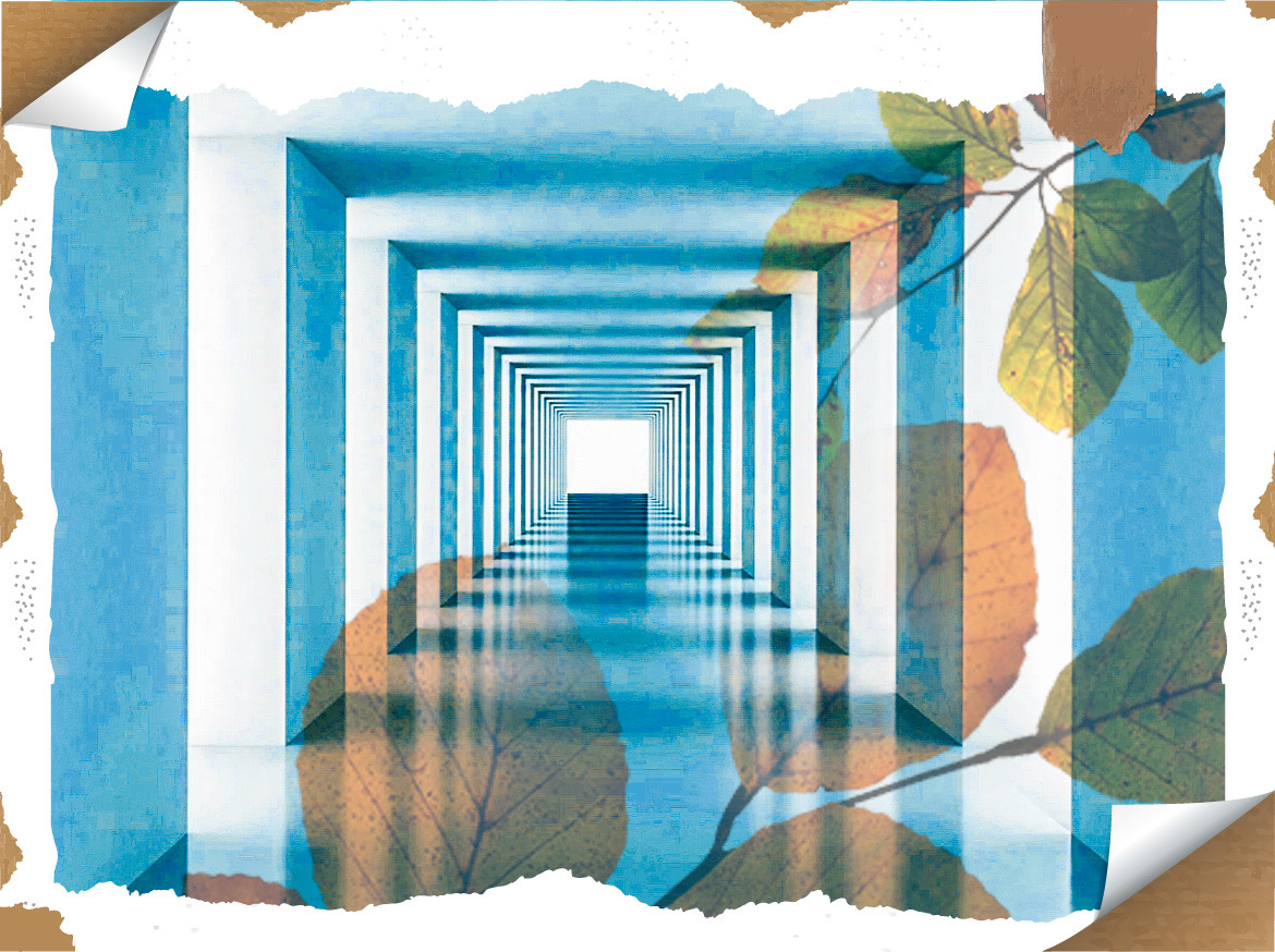 Коллаж автора