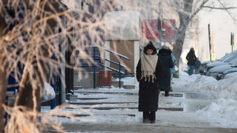     Зима в Барнауле, 24 декабря 2024. Дмитрий Лямзин