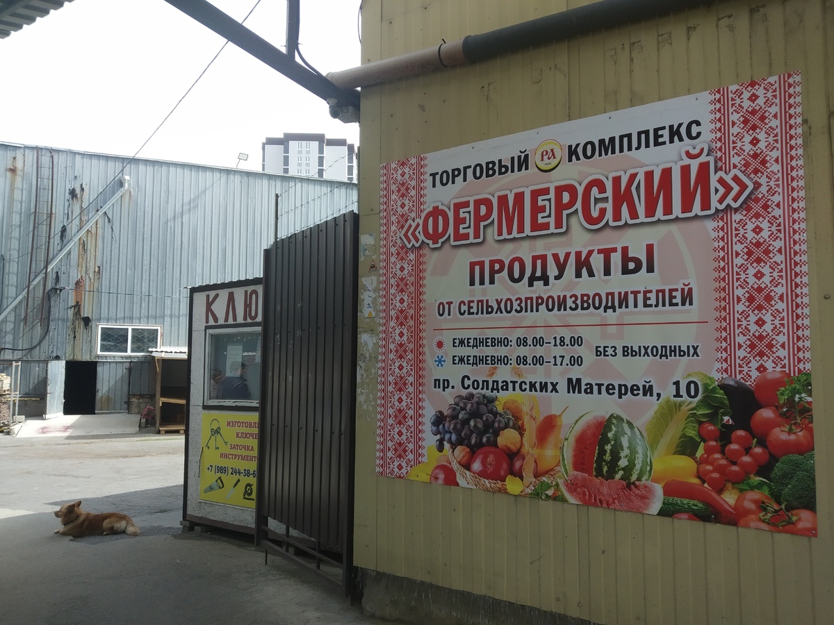 Один из 3-х входов\выходов (фото автора публикации)