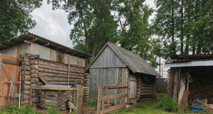    Фото irkutsk.news