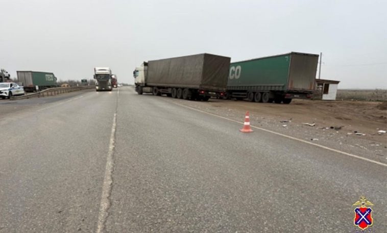 фото: ГУ МВД по Волгоградской области