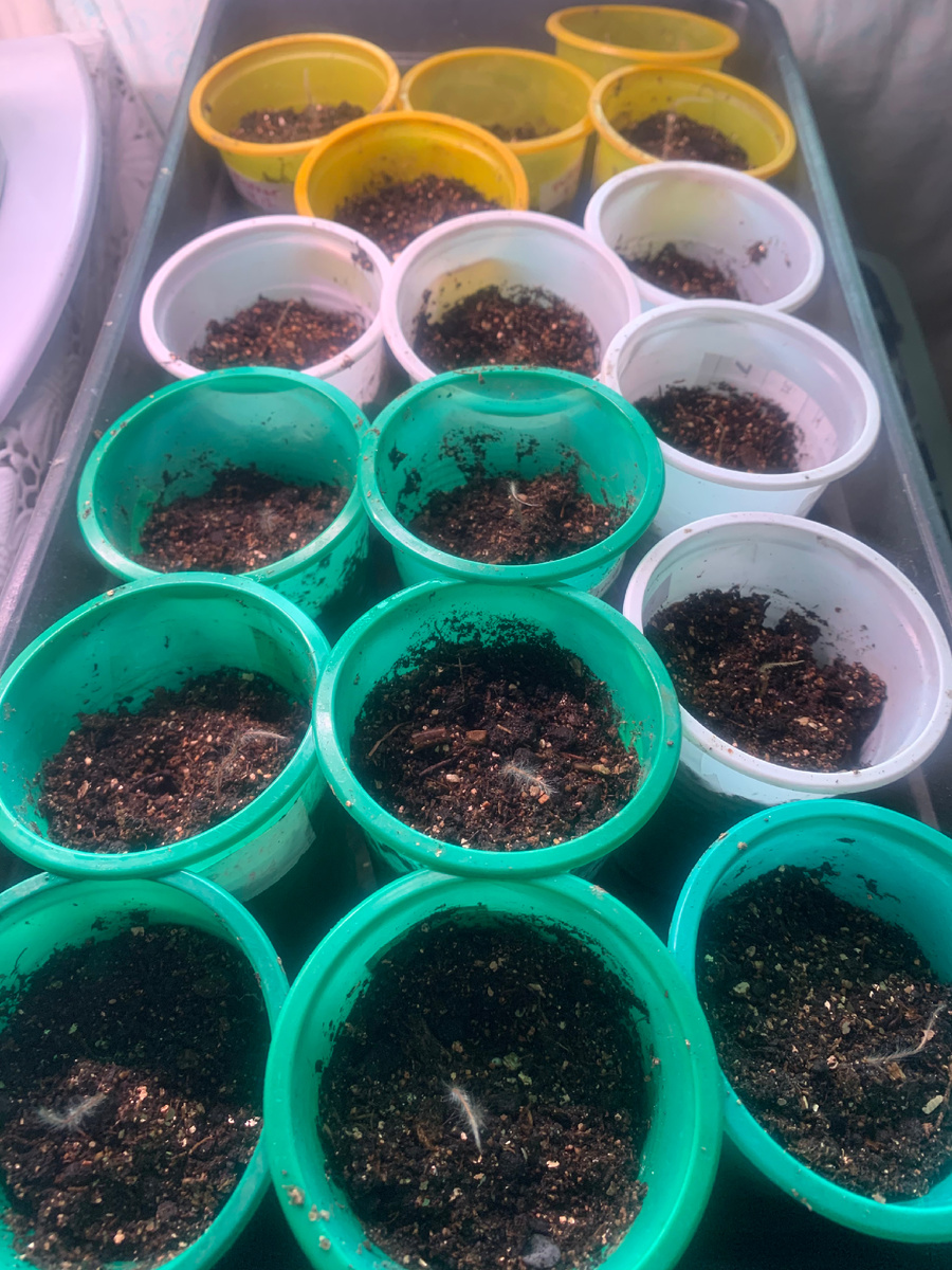 18.12.25 прострелы