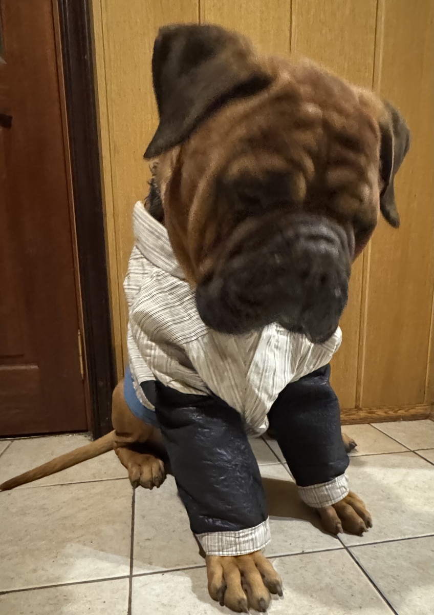 Фото автора. 