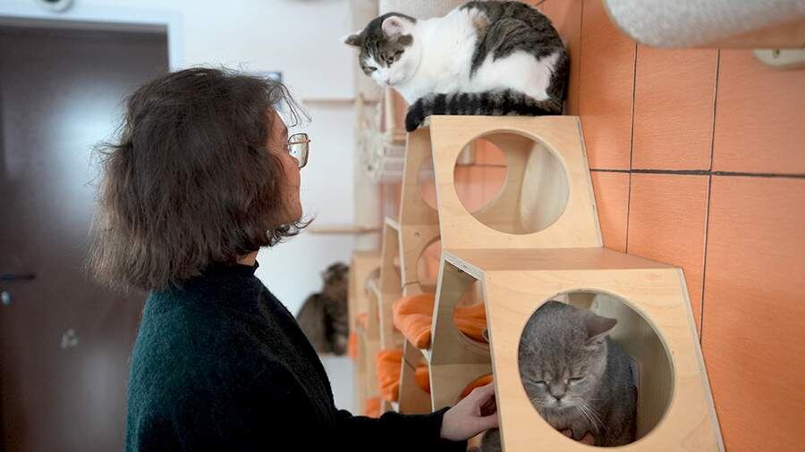    Фото: ИЗВЕСТИЯ/Павел Волков