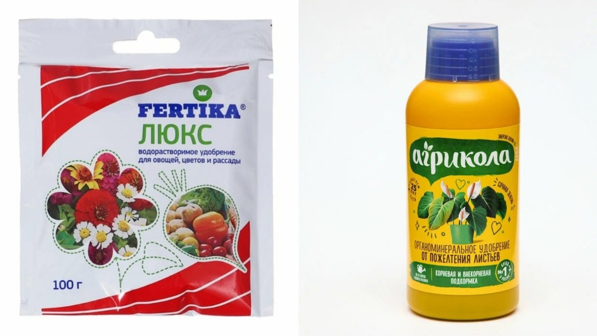 Правильная концентрация - половина от летней дозы