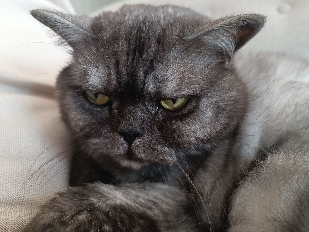 Она же наш контролёр и регулятор🤣🤣