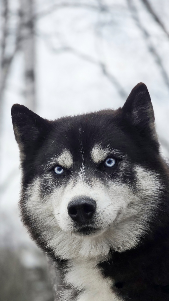 "Ангел", не иначе😂