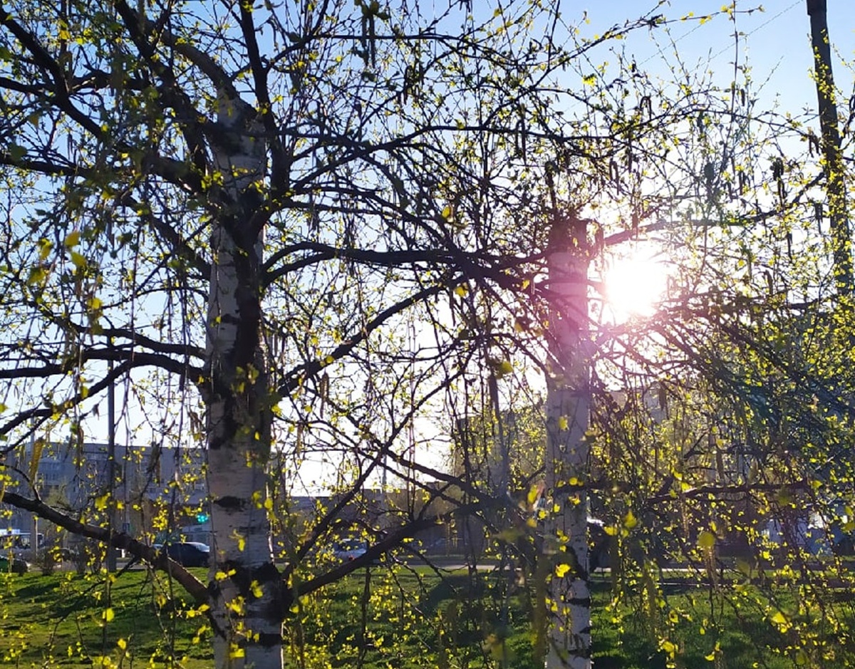    фото: © Столица на Онего