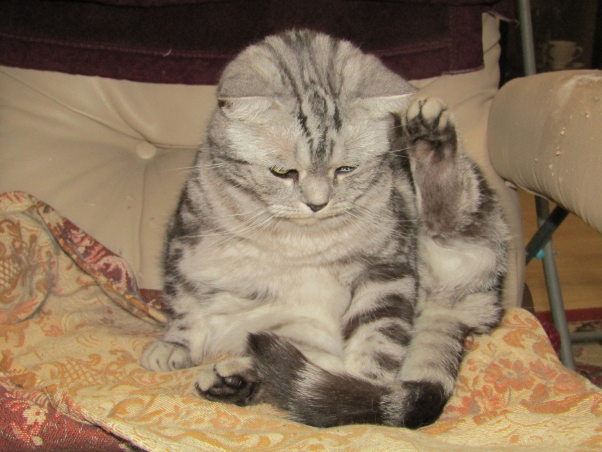 Когда  делать нечего, стоит заняться физкультурой.  