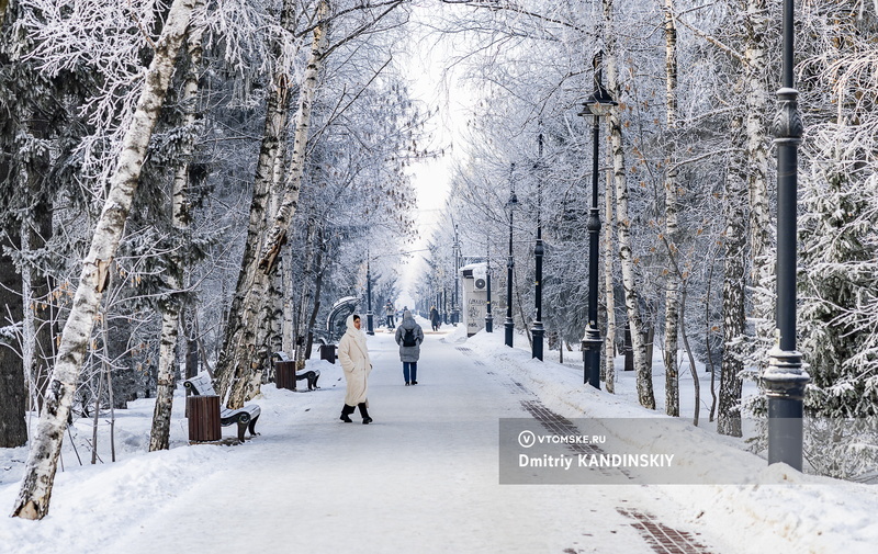    Фото: Дмитрий Кандинский / vtomske.ru