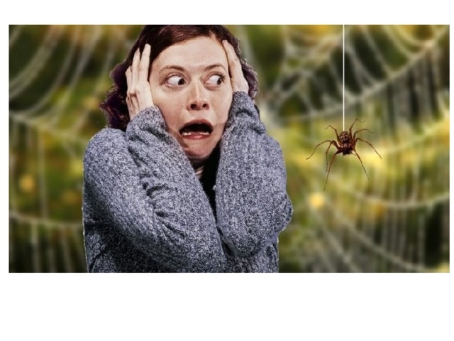 Яндекс - картинки. Арахнафобия - страх пауков