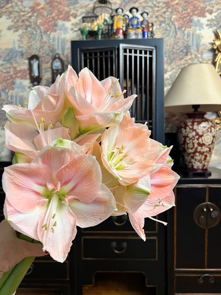 Цветы от дочери)