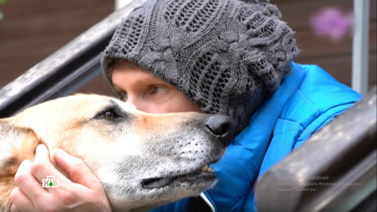 Кадр передачи. Фото автора.