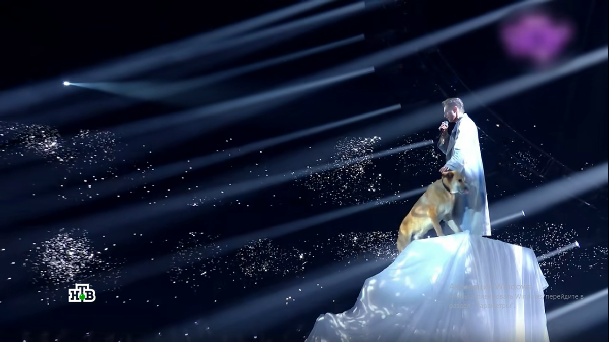 Кадр пеердачи. Фото автора. 