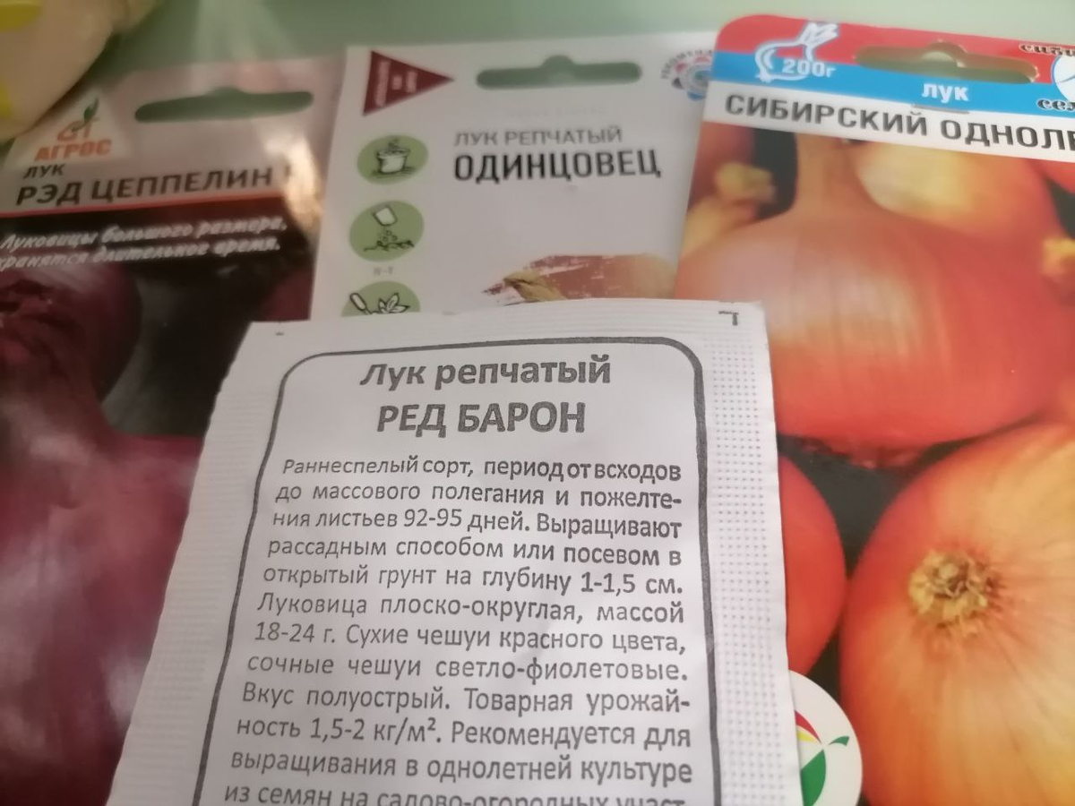 Эти семена буду сеять сразу в грунт на севок, фото автора