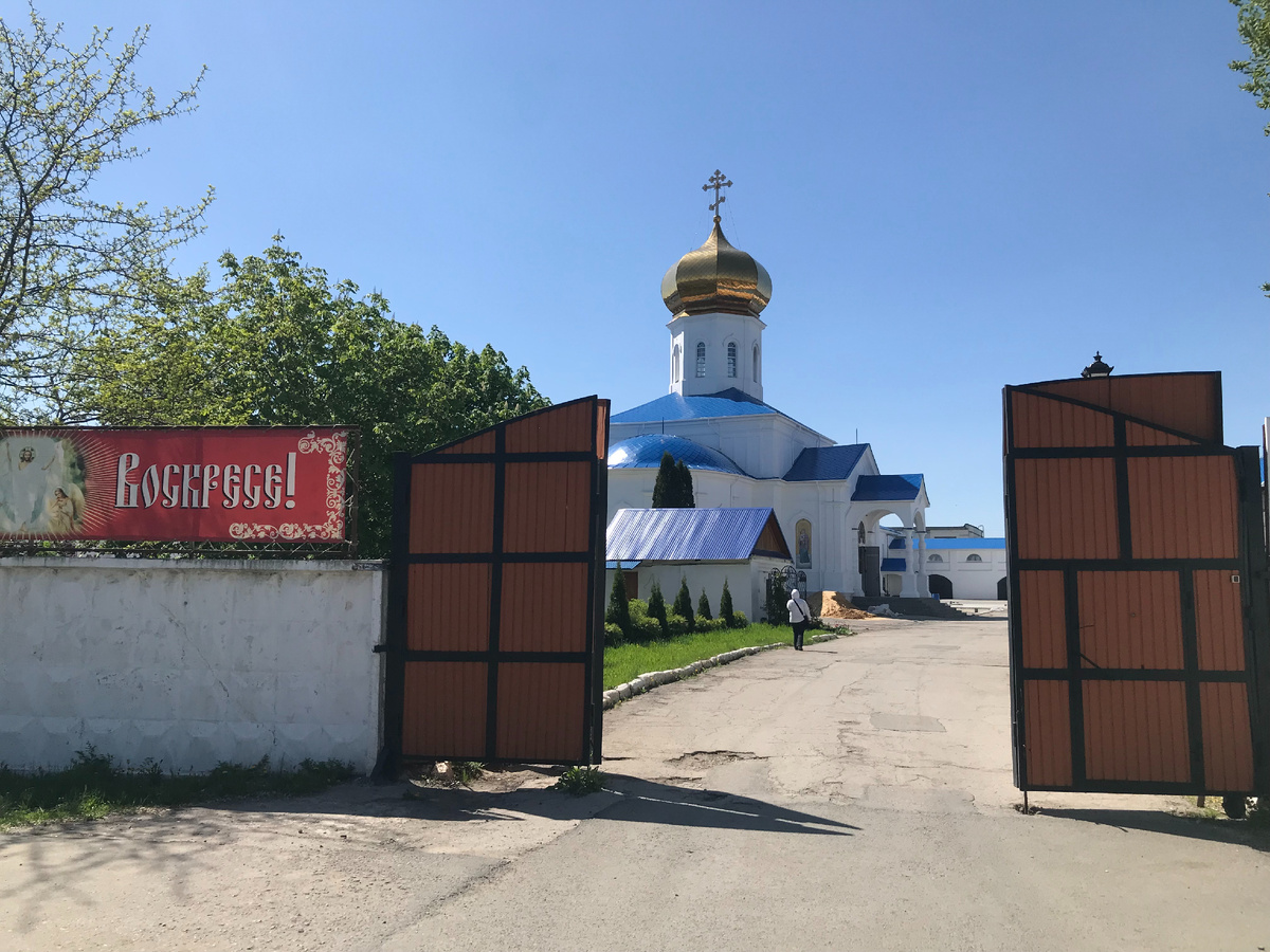 05 мая 2025 11:43