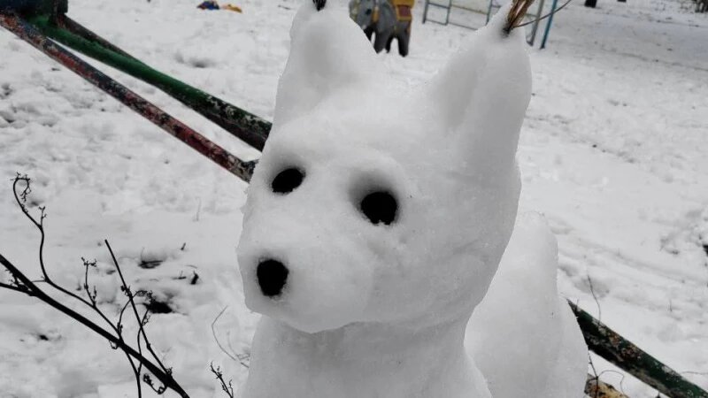     Снеговики В КУРСЕ 22