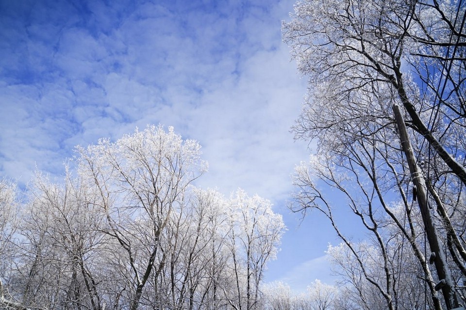   Зима близко. Светлана МАКОВЕЕВА