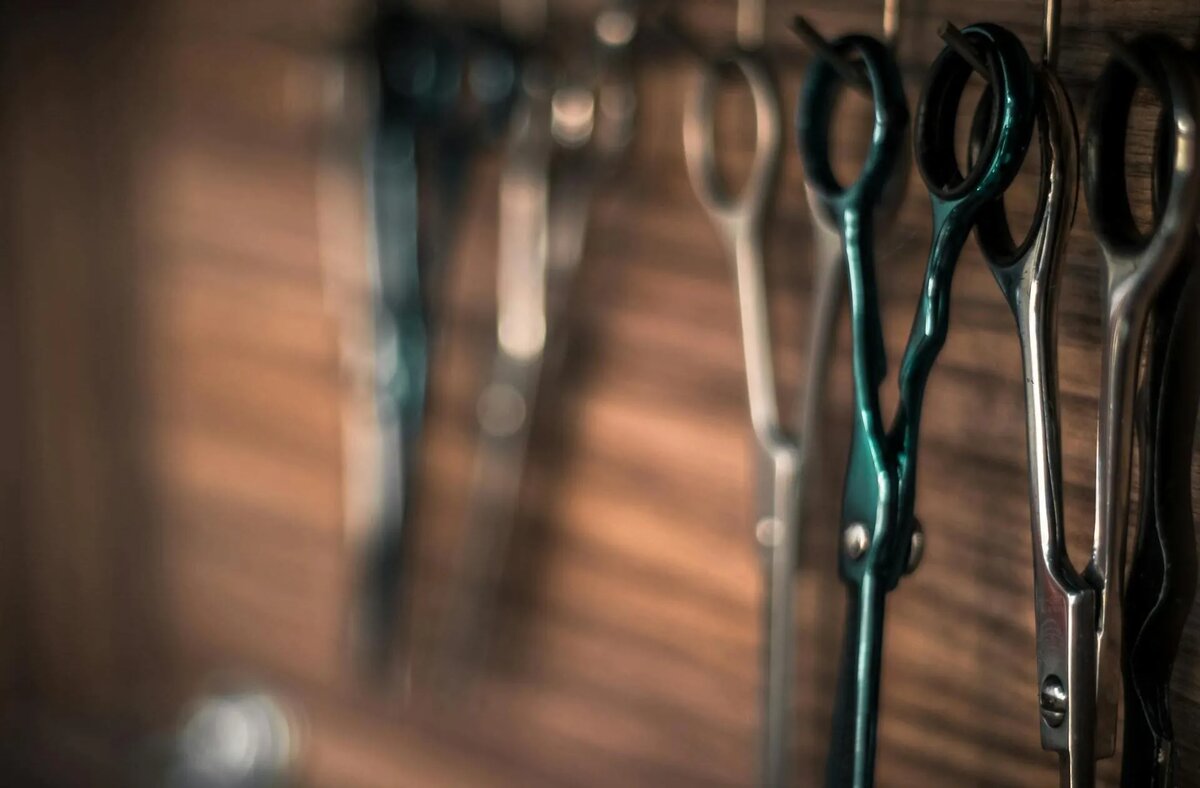 Фото: Nikolaos Dimou / www.pexels.com