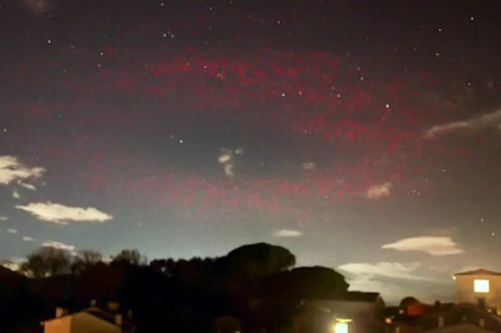    Фото: соцсети