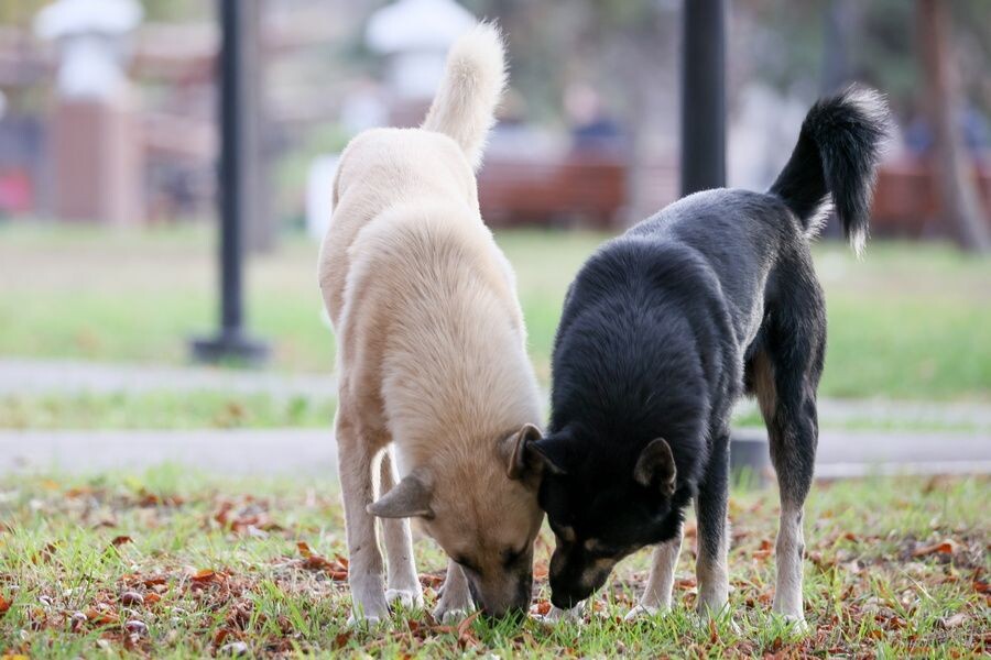     / Источник: © Александр Река/ТАСС