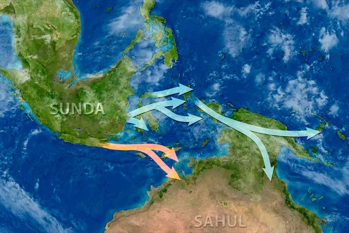    Фото: naked-science.ru Полина Белоусова