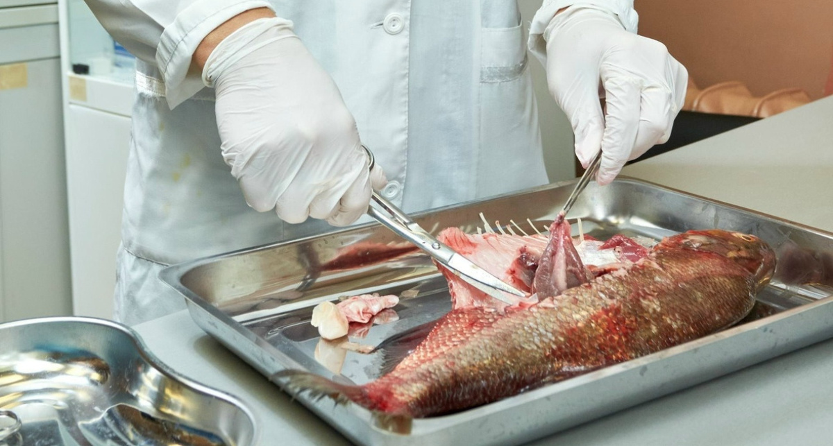    ТВЕРСКОЙ ФИЛИАЛ ФГБУ "ВНИИЗЖ"