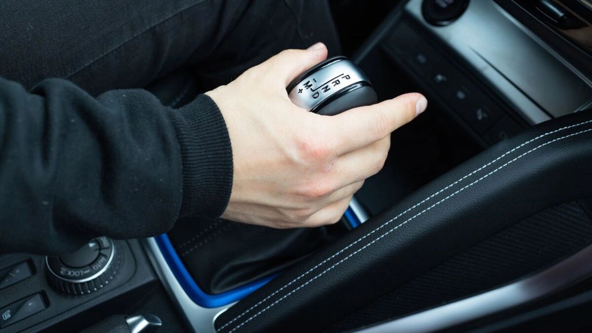    Фото: Mariaprovector/Shutterstock/Fotodom