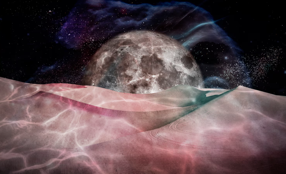 Фото: freepik / rawpixel.com
