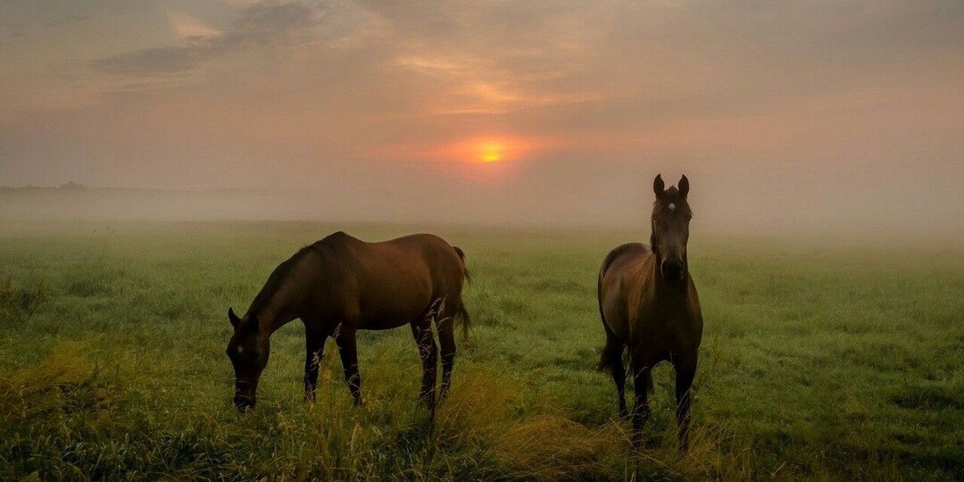Контроль и счастье