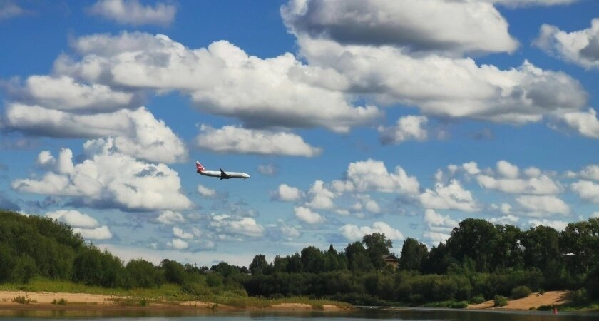    Создано в Шедевруме