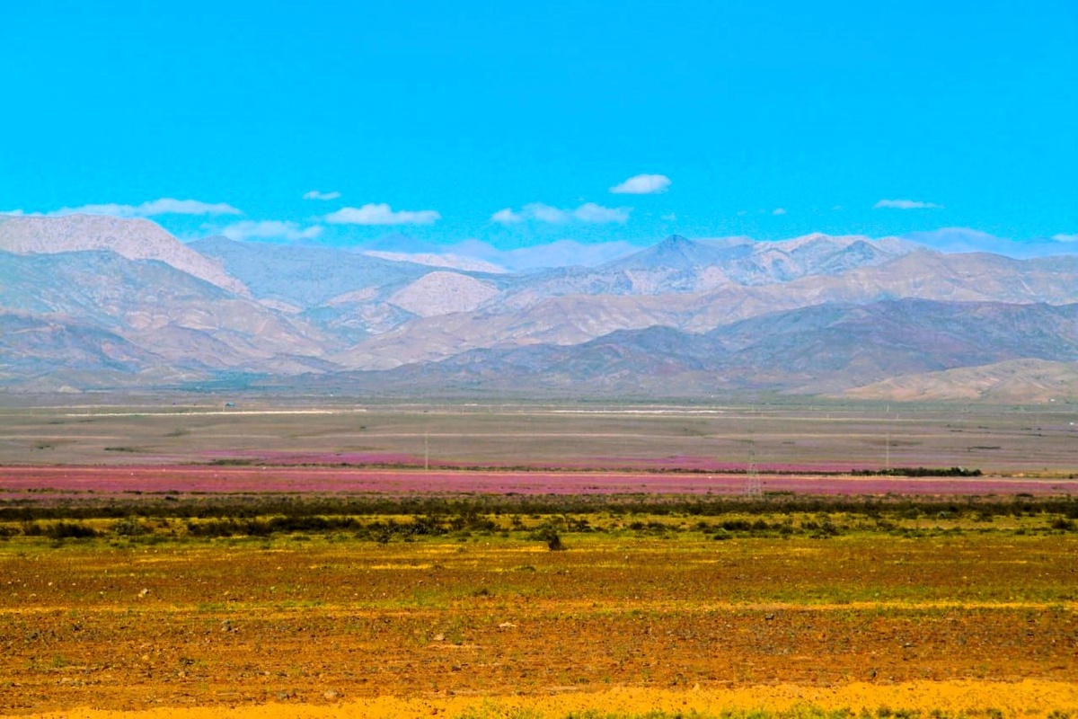 фотография из открытых источников