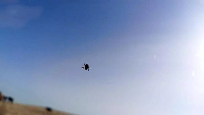 Фото: Министерство общественной безопасности Челябинской области